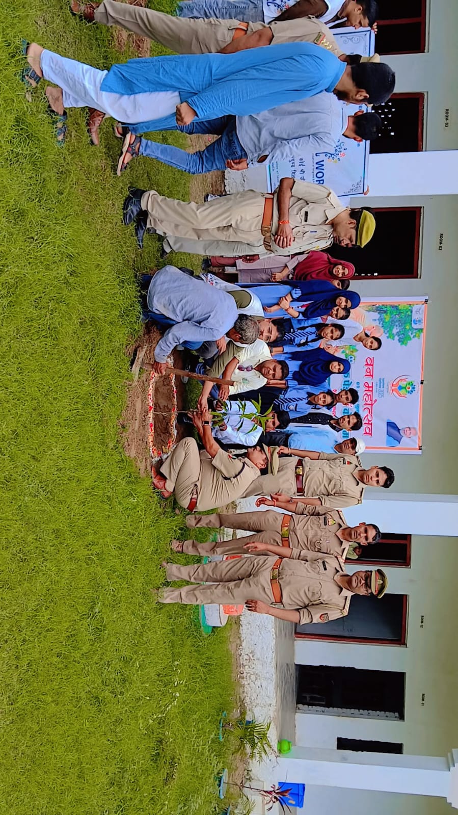 Tree Plantation Drive